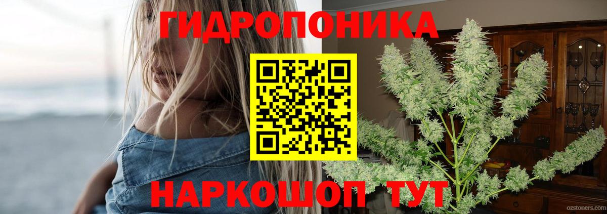 Шишки марихуана White Widow  Шишки марихуана тримм  Канабис планчик  Черногорск  Вход с VPN  Каннабис марихуана 